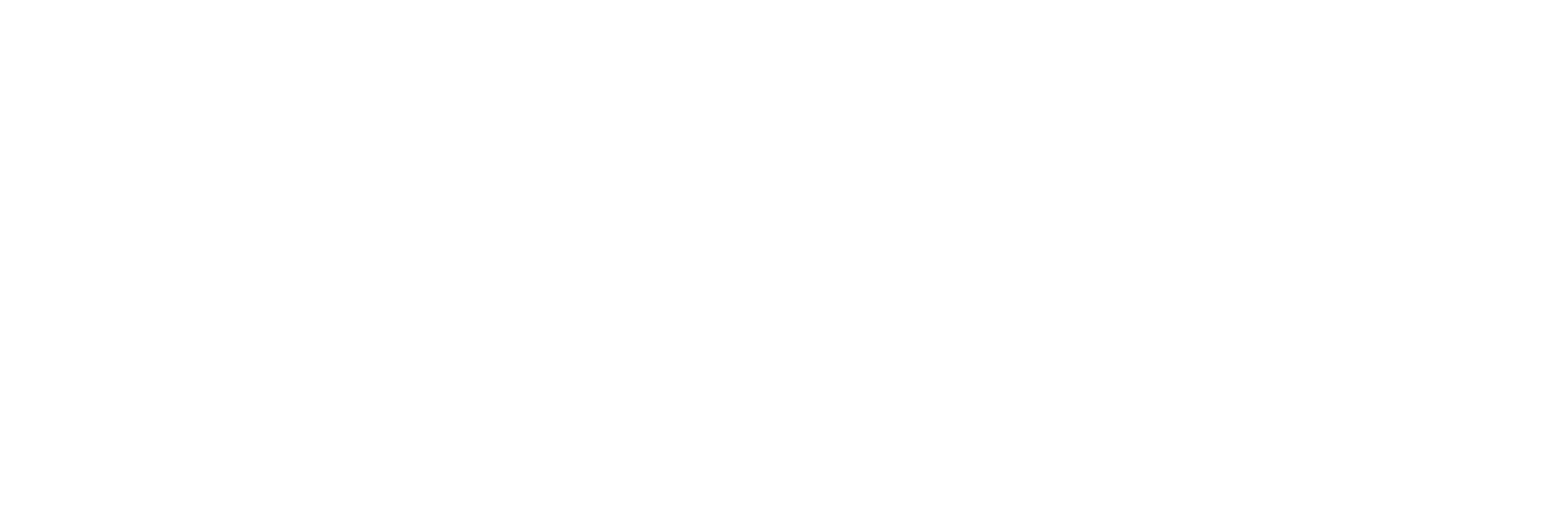 flexilabs-logo white