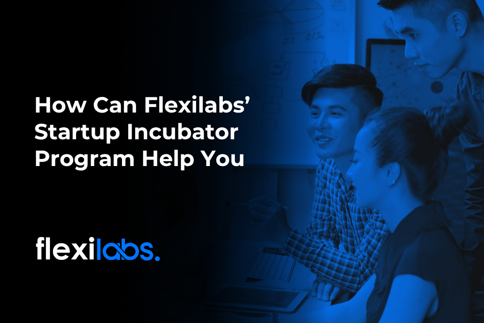 How Can Flexilabs’ Startup Incubator Program Help You