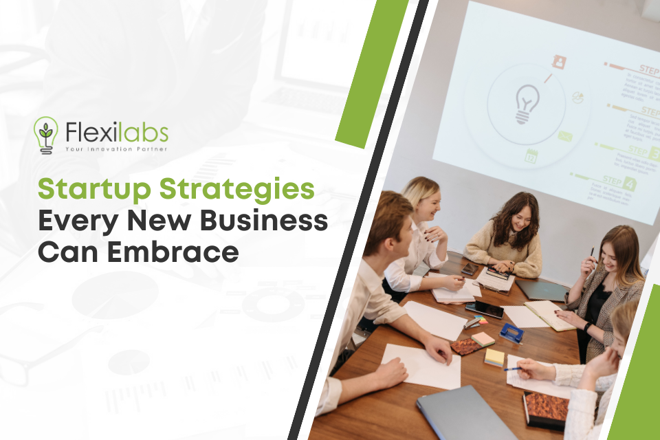 Startup Strategies Every New Business Can Embrace Flexilabs
